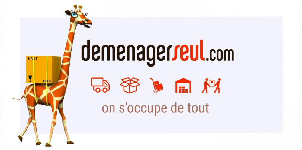 L’enseigne Demenagerseul.com Lance L’offre « Coup De Main » Pour Un Déménagement Sur Mesure !
