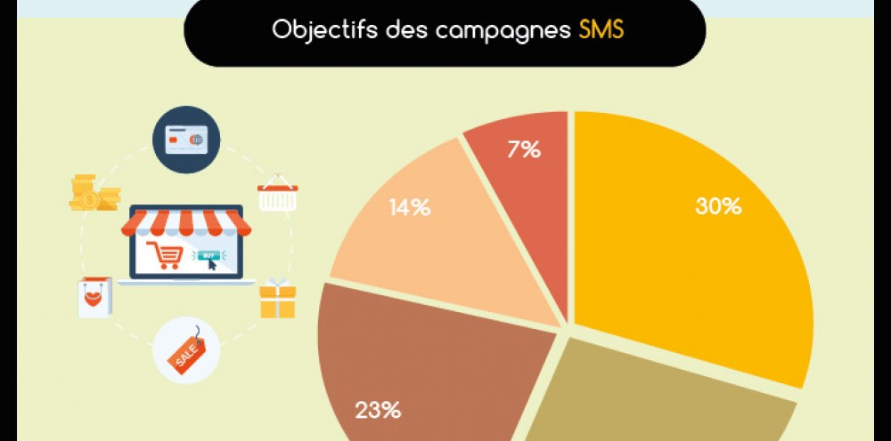 Quelles évolutions Pour Les SMS Commerciaux ? 