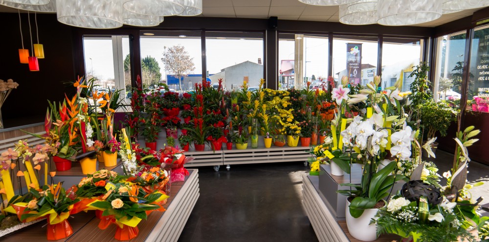 Carrément Fleurs en pleine croissance !