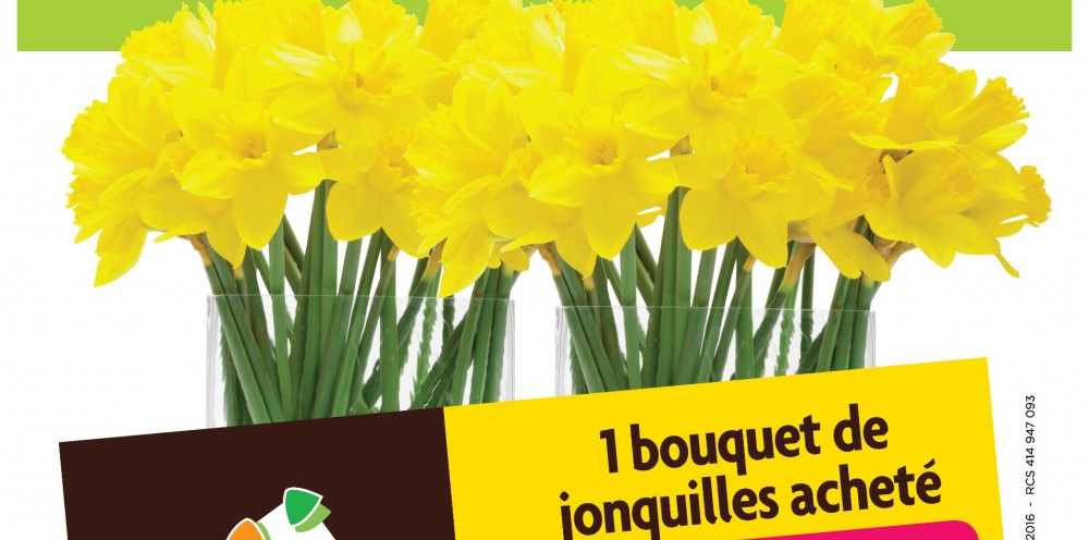 Une jonquille pour Curie" : l'action de Carrément Fleurs a permis de récolter 8.688 euros